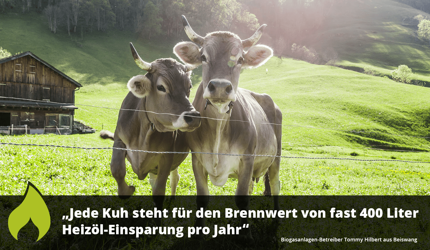geo-kachel-gas-biogas-kuh Jede Kuh steht für den Brennwert von fast 400 Liter Heizöl-Einsparung pro Jahr – GEO Energie Ostalb